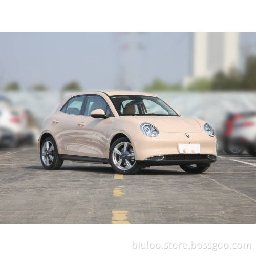 2022 New Car New Energy Vehicle price Hot Selling Chinese Electric Car Euler good cat 401km standard endurance type Electric Car